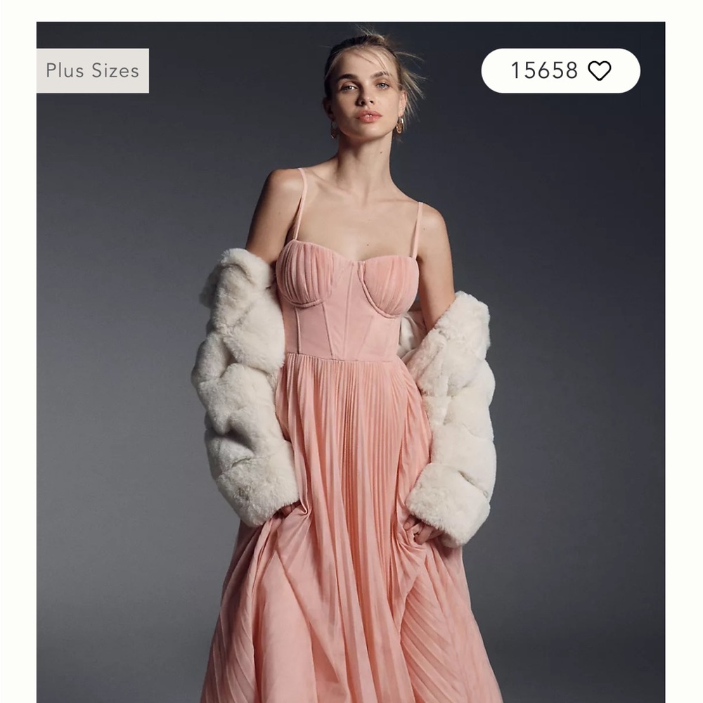 Hutch Amara Corset Pleated Tulle Fit & Flare Midi Dress - Picture 4 of 5